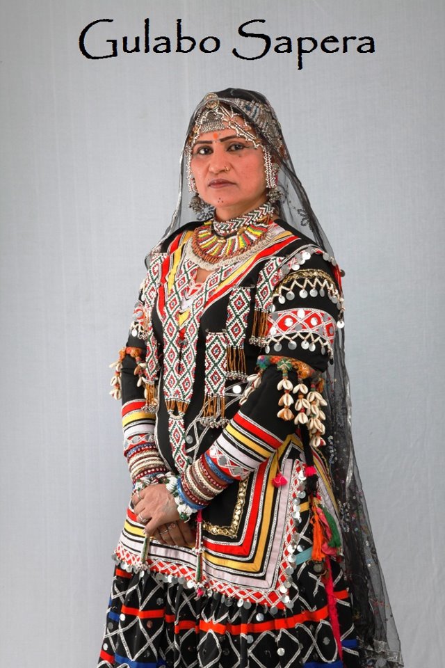 Gulabo Sapera 