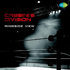 Cassini's Divison