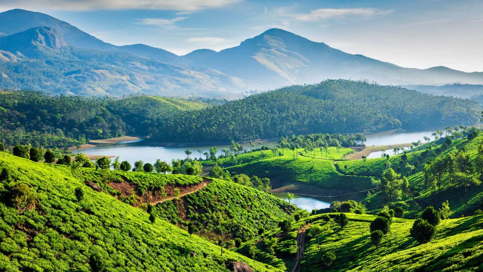 Event management company in Munnar, Kerala