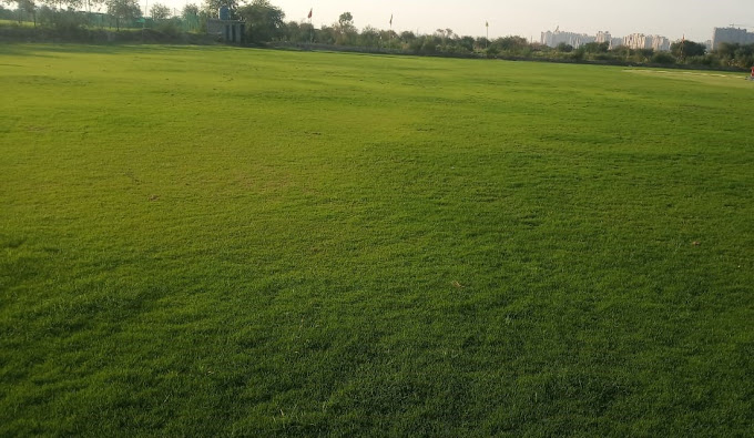 Real Innings Cricket Grounds