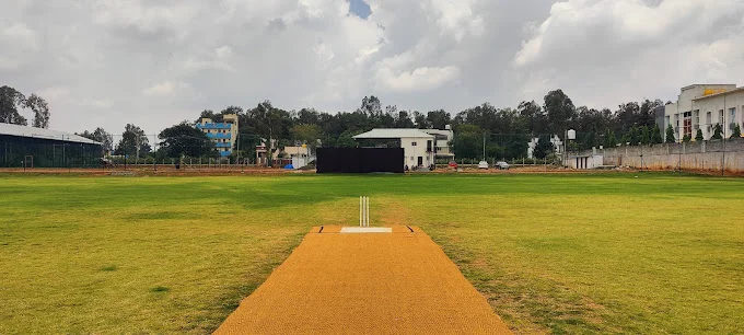 BlendIn Cricket Ground