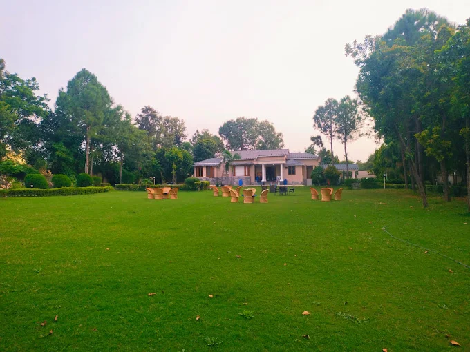 Melody Farm