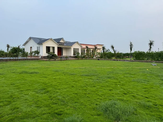 Oasis Greens Farm