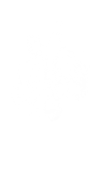 Browse By Artist Category