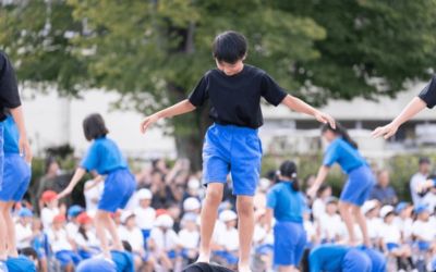 Annual Day Organizer