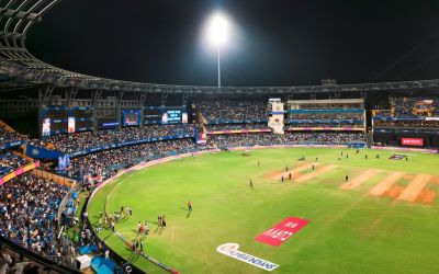 Cricket Tournament Organiser