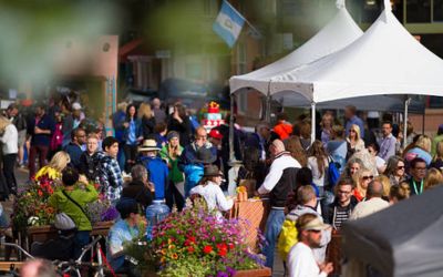 Food Festival Organiser