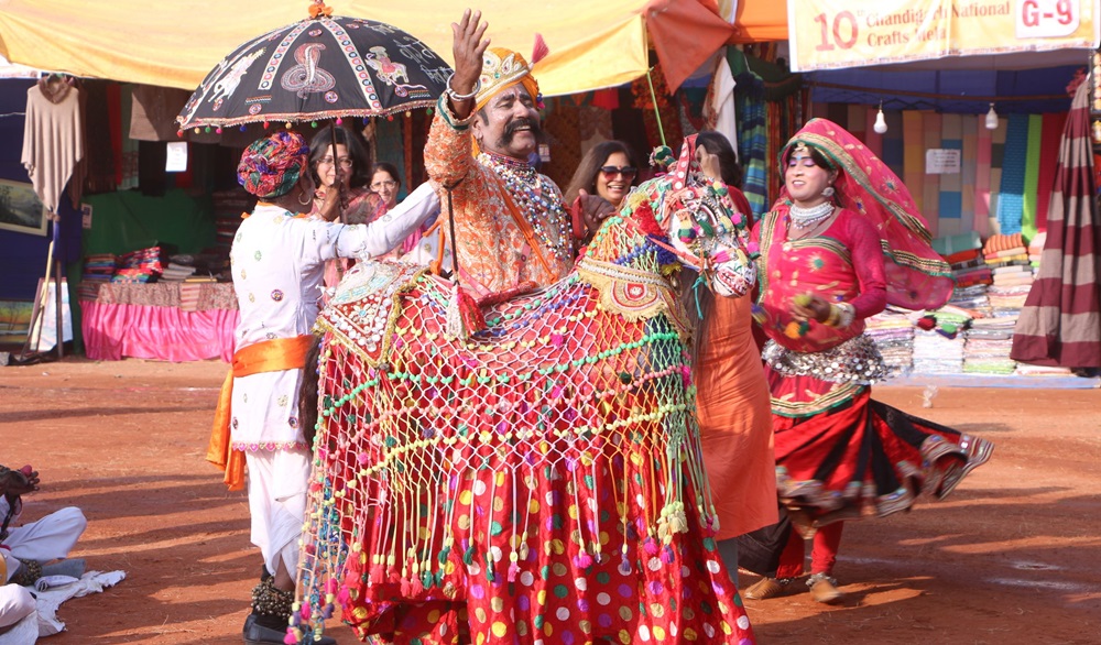 kachchi ghodi