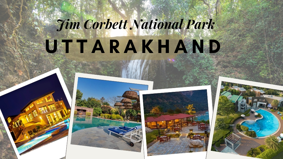 Jim Corbett National Park
